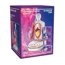 Canal Science Mi Cuerpo Voz Pedia 3D