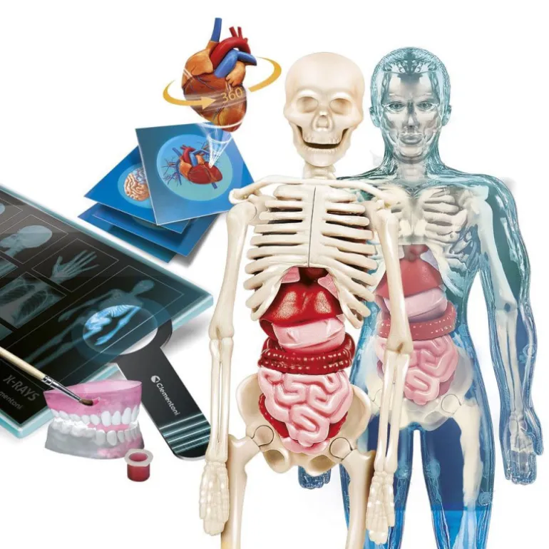 Ciencia y Juego Superanatomía