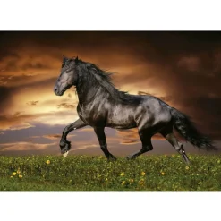 Educa Puzzle 1000 Piezas Caballo a Trote - 19555