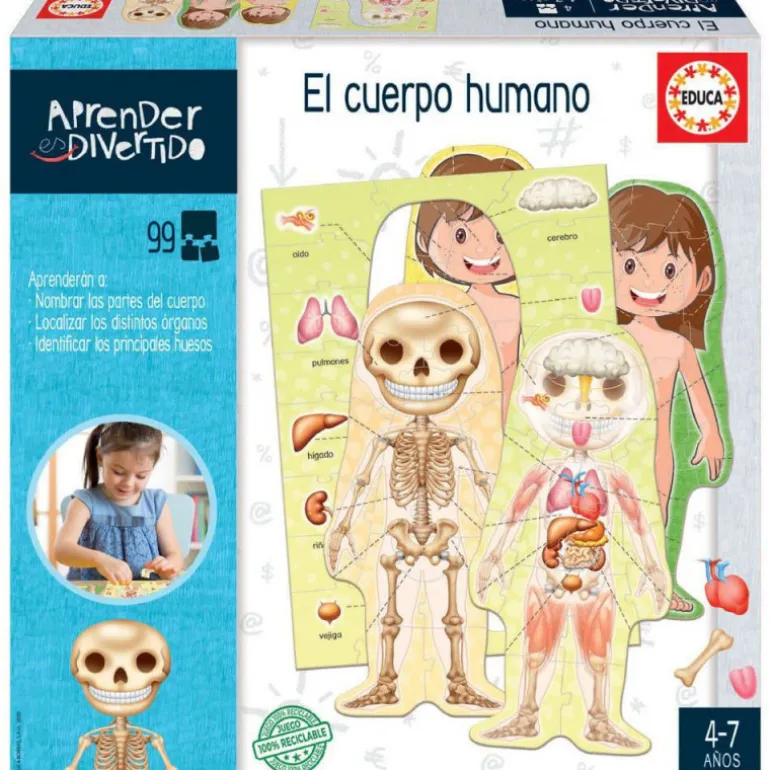 El Cuerpo Humano