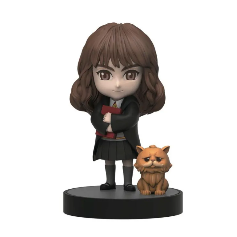 Harry Potter Hero Box Varios Modelos