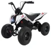 Injusa Quad X-Treme Dirt Quad 24 V - 8410964060255