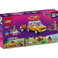 LEGO Friends Amistad: Excursión en Coche por Carretera - 42659