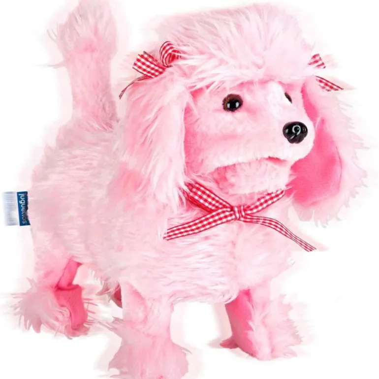 Mascottas Mi Perrita Caniche