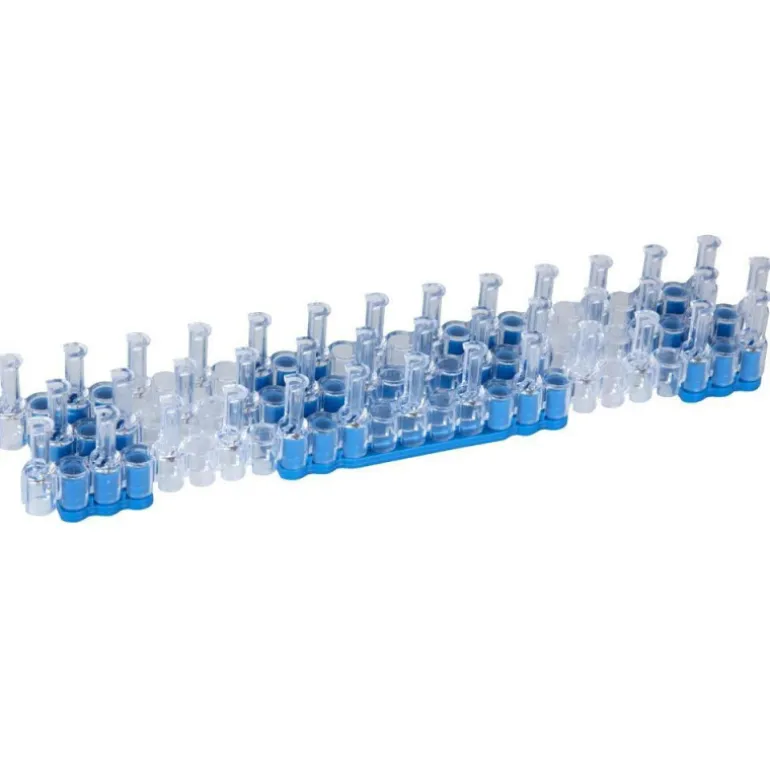 Pasarela Estuche Crea Con Gomas