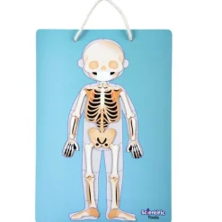 Scientific Tools Aprendo el Cuerpo Humano Magnético