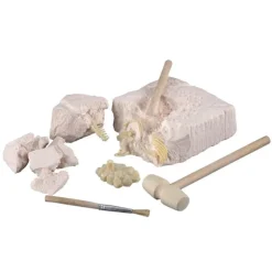 Scientific Tools Set De Excavación