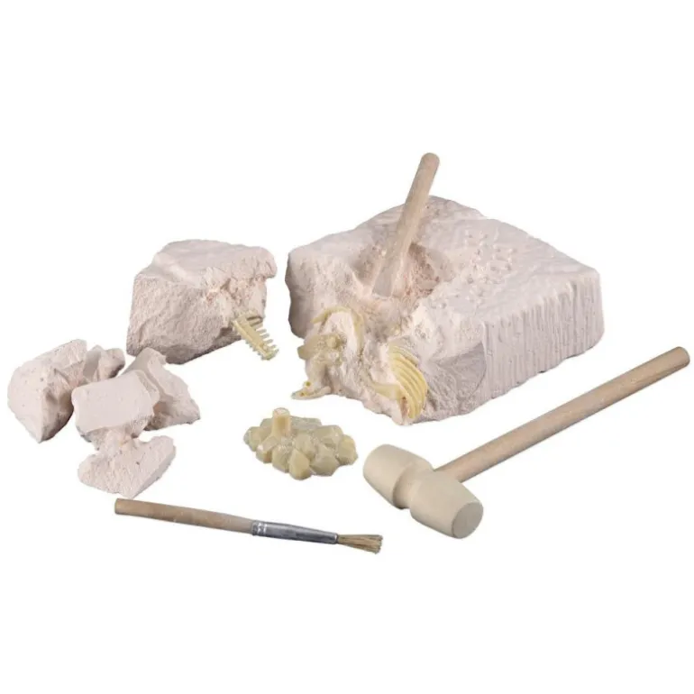 Scientific Tools Set De Excavación