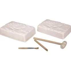 Scientific Tools Set De Excavación