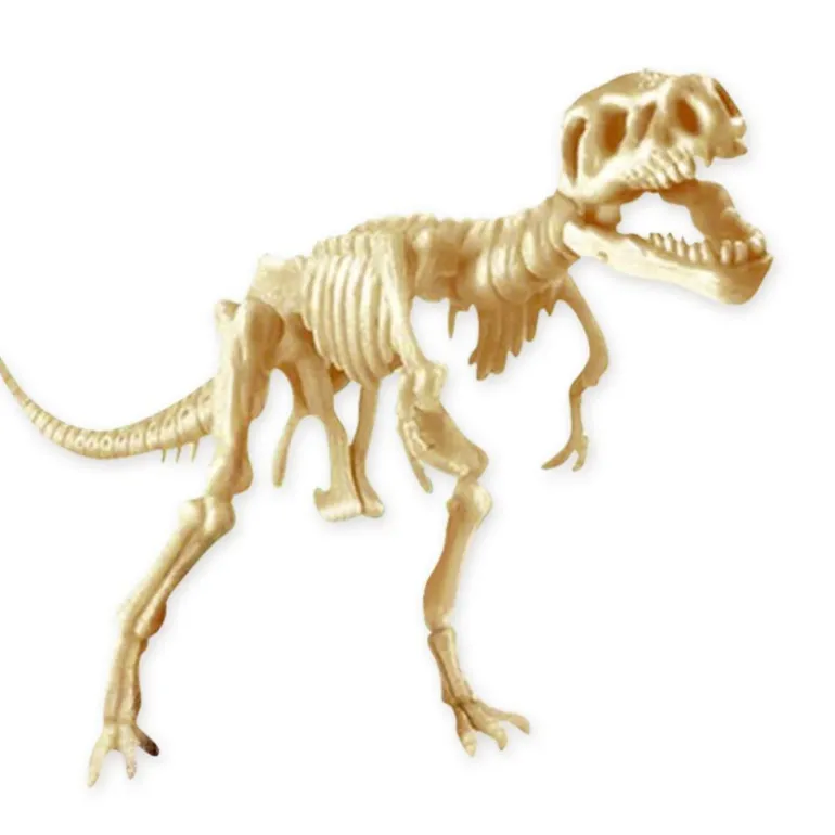 Scientific Tools Set De Excavación